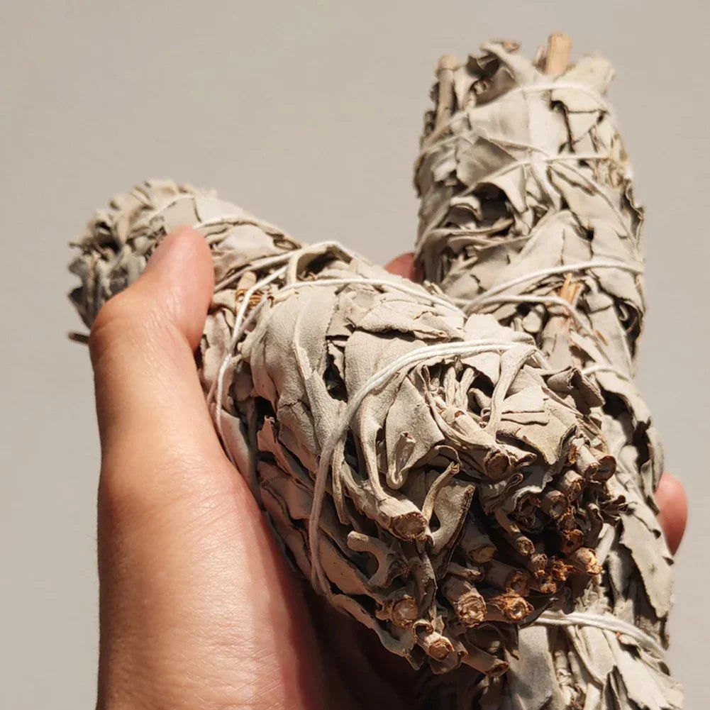 Natural White Sage Smudge Sticks